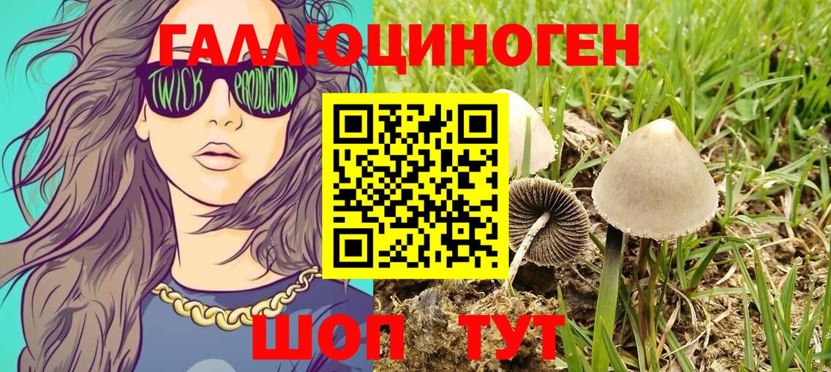 Галлюциногенные грибы мухоморы  Вход с VPN  Псилоцибиновые грибы мицелий  Североморск 